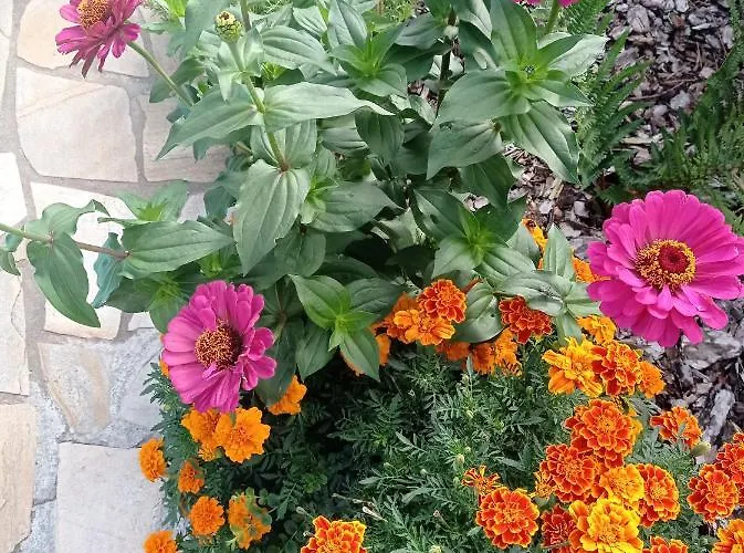 Apartman Usis_ferienwohnung Im Harz